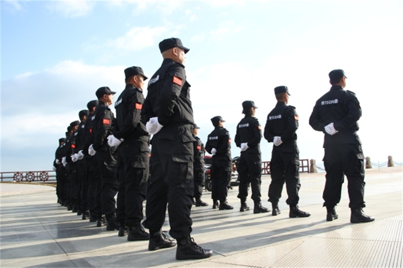 保安顧問及咨詢服務(wù)